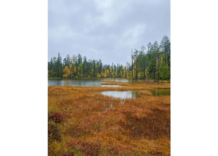 Sallan Lumous A By Interhome 度假居